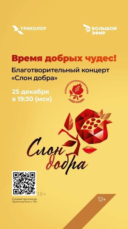 16. Ура!!!! Смотрим и радуемся красивому завершения года концерт «СЛОН ДОБРА»